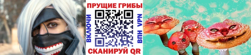 хочу наркоту  Суоярви  MEGA tor  Псилоцибиновые грибы Psilocybe 